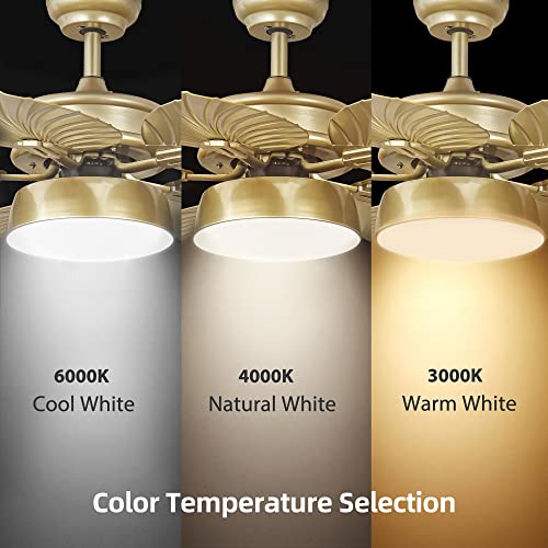 YITAHOME-Tropical-Ceiling-Fans-with-Light-and-Remote-52-Inch-Fan-Light-with-Memory-Function-Lights-Colors-Changing-Quiet-Motor-Timer-Palm-Leaf-Blades-for-OutdoorIndoor-Gold YITAHOME Tropical Ceiling Fans with Light and Remote 52 Inch Fan Light with Memory Function Lights Colors Changing Quiet Motor Timer Palm Leaf Blades for OutdoorIndoor Gold