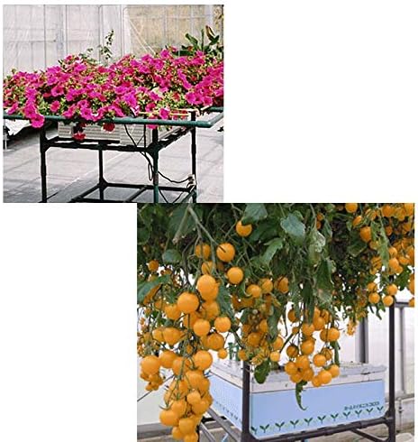 ハイポニカ液体肥料 A液・B液 4L各1本セット×2セット 水耕栽培 液肥 家庭菜園 カ園 【Sticky】 代不【個人宅・北海道配送不可】