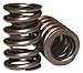 Howards Valve Spring, Single w/Damp, 1.250 98214