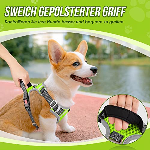 Eyein Hundegeschirr für Kleine Mittelgroße Hunde, Air Mesh Atmungsaktiv Brustgeschirr mit weichem Griff und Abschließbare Karabiner, ausbruchsicher reflektierend Hund Geschirr für Welpen, Grün, S