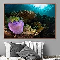 Framed Canvas Wall Art Deep Under Group Jellyfish Marine Life Multicolor Photography Realism Tropical Ultra Whimsical - 16x24 inches