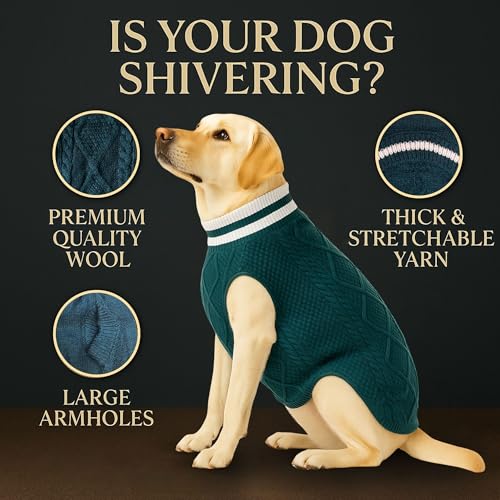 Image of Dog Sweater for Large Dogs (Dark Green, 24-Inch) - Soft, Stretchable Knit Dog Winter Clothes to Keep Labrador, Boxer & Indie Warm, Cozy and Stylish