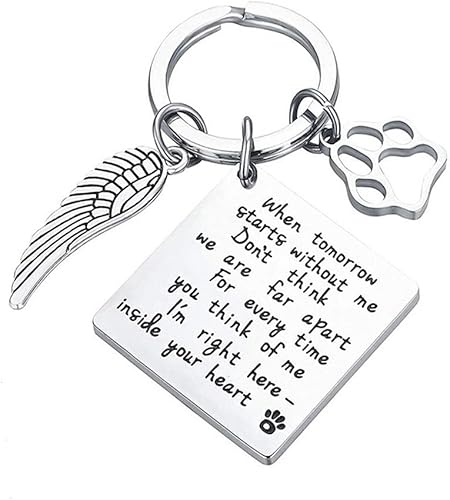 Regalos conmemorativos para la pérdida de perro, regalos de perdida de perro, regalos de condolencias para perros y mascotas, llavero para recuerdo