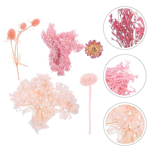 Flores prensadas secas naturales para manualidades miniatura 4