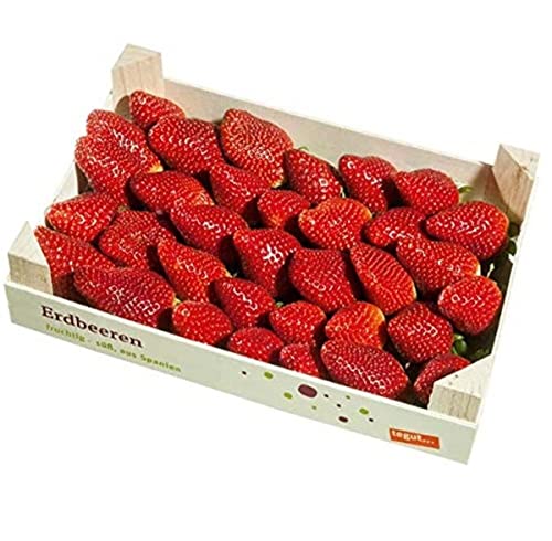 Erdbeeren-800-g