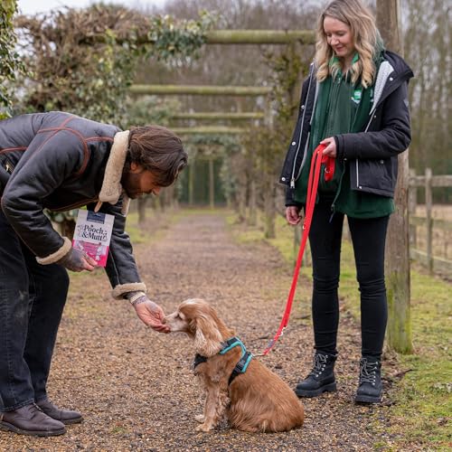 Pooch & Mutt - Herz-hafte Lamm Fleisch-Leckerlis für Valentinstag, gemischte Packung, 7x120 g