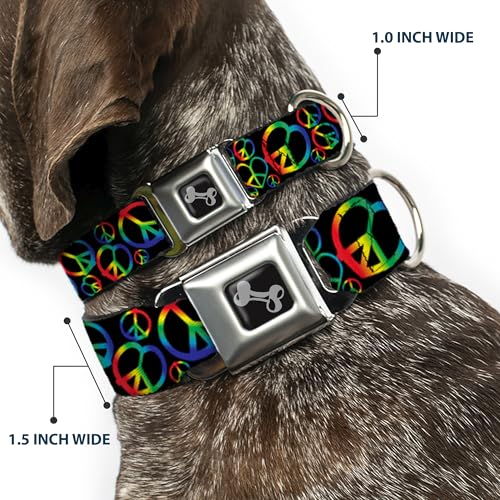 Collier de chien boucle ceinture Buckle Down multicolore taille M