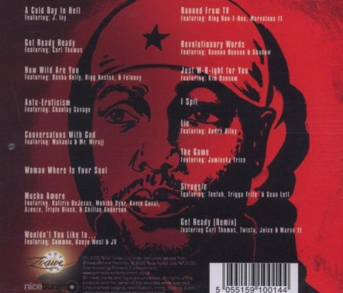 The Great Chicago Fire