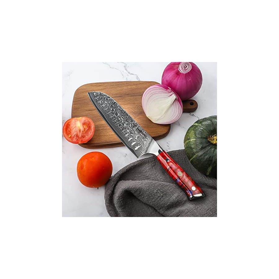 SANMUZUO-Chef-Cooking-Knives-Set-Kitchen-Knife-Set-of-5-Piece-Ultra-Sharp-VG10-Damascus-Steel-Resin-Handle-Xuan-Series-Sunset-Red SANMUZUO Chef Cooking Knives Set- Kitchen Knife Set of 5 Piece - Ultra-Sharp VG10 Damascus Steel & Resin Handle - Xuan Series (Sunset Red)