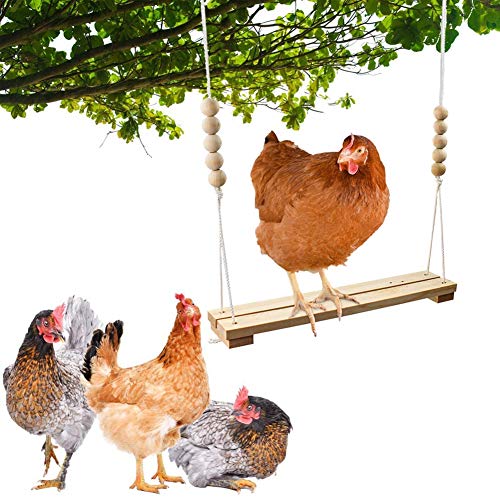 Littlecatch Jouet balançoire pour poulailler - Accessoires en bois naturel sûr - Perchoir durable pour volaille, coq et poules