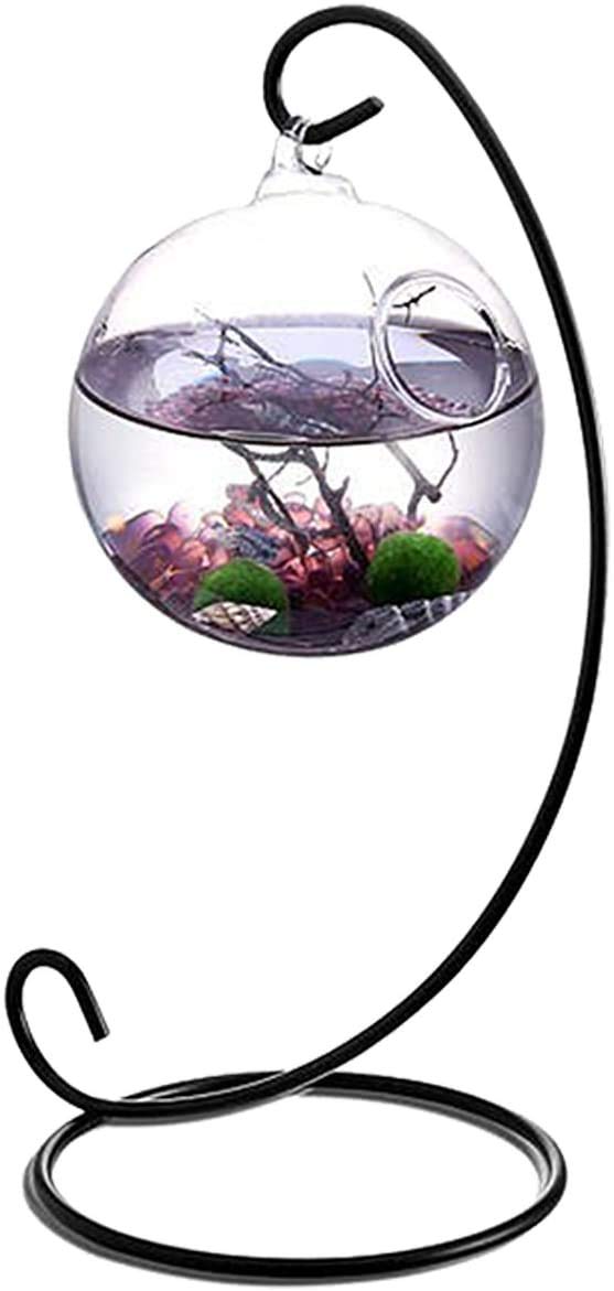 Aquarium-Set, Aquatisches Tisch-Aquarium-Set mit 2 lebenden Moosbällen, kleinen Steinen und 8,9 cm schwarzem Ventilator mit Metall (Himmelblau)
