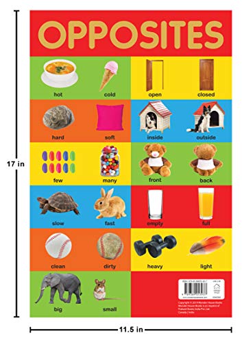 Opposites Chart - Early Learning Educational Chart For Kids: Perfect For Homeschooling, Kindergarten and Nursery Students (11.5 Inches X 17.5 Inches)