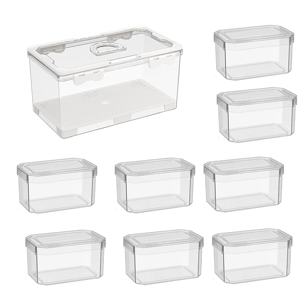 CTRLZS Serving Tray for Biscuit, Fruits- Picnic Basket with Lid and Handle, Clear Divided Design for Travel, Beach