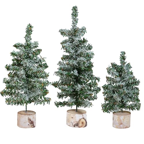 Winlyn Set of 3 Mini Snowy Artificial Canadian Pine Trees with Wood Bases Small Tabletop Christmas Trees for Rustic Farmhouse Christmas Winter Holiday Seasonal Table Centerpiece Desk Decoration