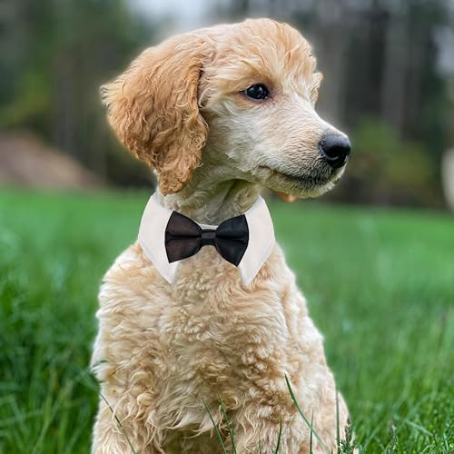 Image of Dog Bowtie, KOOLMOX Tux Dog Collar for Weddings with Handcrafted Adjustable White Collar and Black Tie, Classic Neck Tie for Small to Medium Dogs Cats Puppies Valentine's Costumes