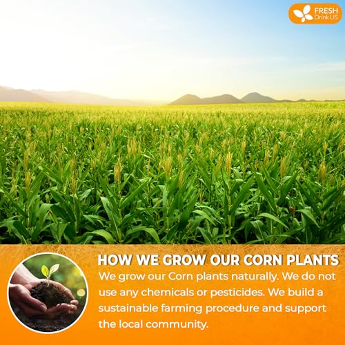 Image of FreshDrinkUS, Dried Corn Silk 8oz | Premium Whole Corn Silk for Tea & Herbal Infusions | Naturally Air-Dried, Non-GMO, Caffeine-Free | Perfect for Daily Herbal Tea, DIY Blends & Natural Brewing