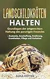  Landschildkröten halten: Grundlagen der artgerechten Haltung des panzrigen Freundes - Anatomie, Anschaffung, Ernährung, Krankheiten, Pflege und Verhalten