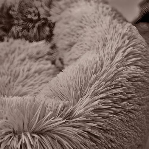 Domarex Weiches rundes Hundebett 110 cm XXL - Flauschiges Katzenbett mit hohem Rand - Shaggy Haustierkissen mit Silikonfüllung - gemütliches Anti-Rutsch - Schlafplatz für Hunde & Katzen - Beige