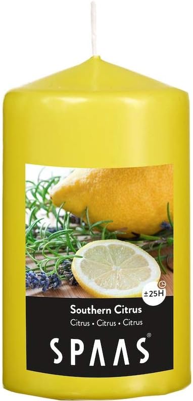 Spaas 12 Scented Cylinder Pillar Candles, Paraffin Wax White, D 60 mm x H 100 mm