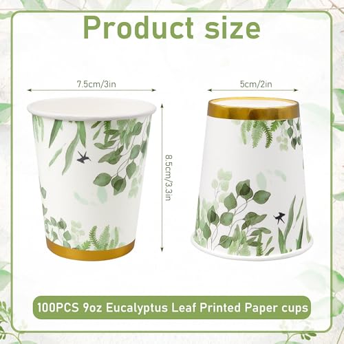 Tasses en papier eucalyptus de qualité supérieure pour boissons de réception