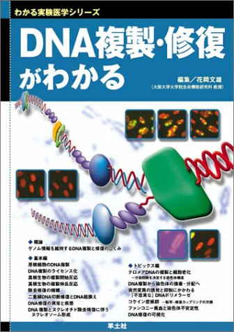 Amazon.co.jp: DNA複製・修復がわかる (わかる実験医学シリーズ―基本