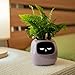 Imagen de PLANTSIO AI Robot Inteligente para Plantar Mascotas con guía para el Cuidado de Plantas y Emojis Adorable compañero Vegetal con una Rica interacción gestual