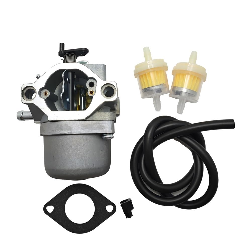 Carburateur anti fuite essence pour moteurs 799728 et 499161