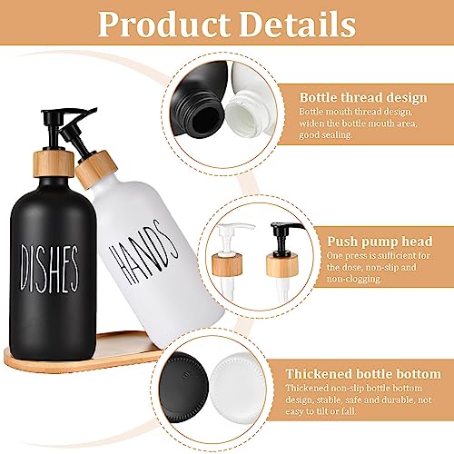 REFORUNG 2 Pz Portasapone Liquido in Vetro