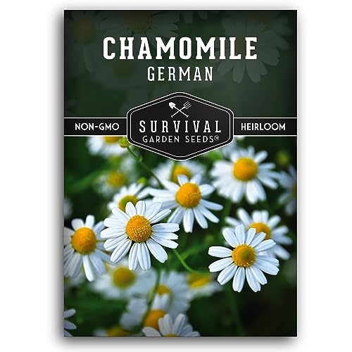 German Chamomile Seeds for Planting Survival Garden Seeds (1 Pack)