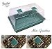 Biotop B2015B Germinador de Semillas, Invernadero Mini en Color Verde, 39 x...