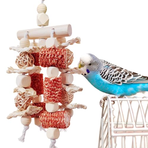 Bird Toys: Natural Corn Cob Chew Toys for Cockatoos, Quaker Parro...