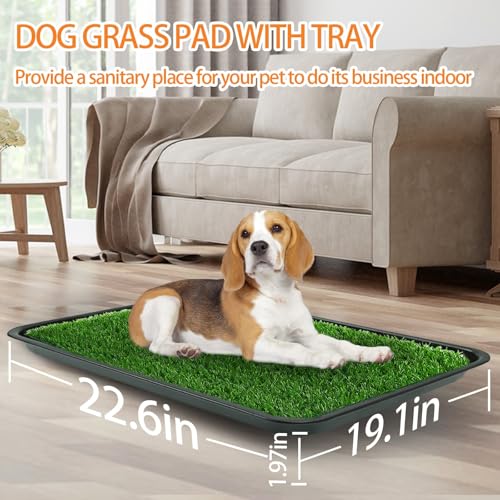 STARROAD-TIM 50 * 60CM Kunstrasen Hundetoilette