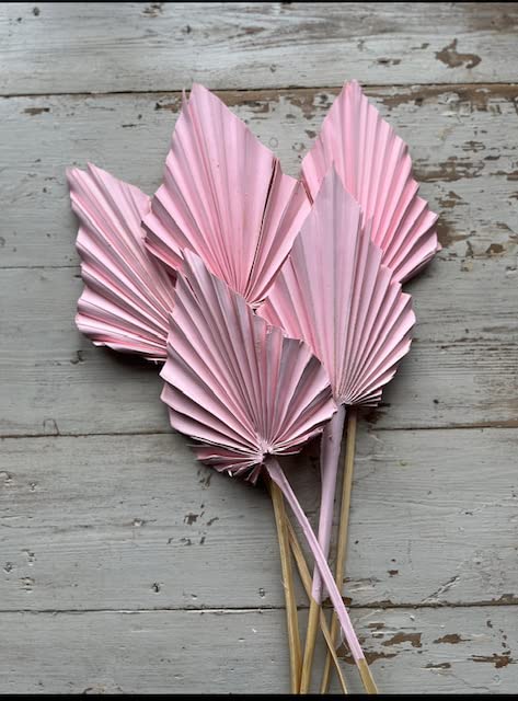 Forget Me Nots Dried Pink Palm Spears - Exotic Decoration - Fall Decoration - Wreaths - Weddings