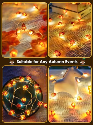 Image of EXF Fall Decor Acorn Fairy Lights Battery Operated with Remote 10FT 30 LED