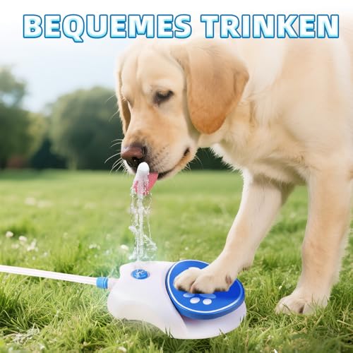 Hunde Wasserspielzeug, 2025 Neu Tritt Auf Pfote Aktivierter Katzenbrunnen, Tragbar Trinkbrunnen für Katze für Kleine, Mittlere, Große Hunde, Outdoor Trinkbrunnen, Garten, Hof (Orange, 21 x 26.5 cm)