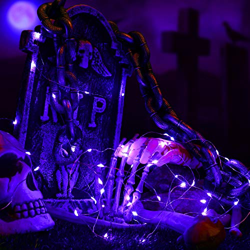 Brizled Purple Christmas Lights, 19.47ft 60 LED Purple Fairy Lights, Battery Powered Twinkle/Steady On Purple String Light Indoor Silver Wire Starry Lights for Xmas, Party, Room Decor, 2 Pack