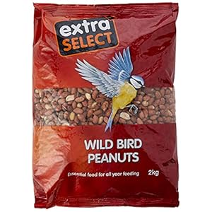 Extra Select Wild Bird Peanuts: High Grade, Protein Rich, Year Round Wild Bird Food Peanuts – Ideal for Winter Feed – 2kg