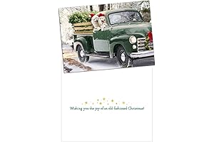 Avanti Press Christmas Cards With Envelopes Featuring a Humorous Dog Design