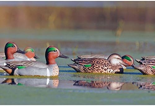 GHG Pro-Grade Pre-Texas Rigged Green Wing Teal Duck Decoy Pack of 6
