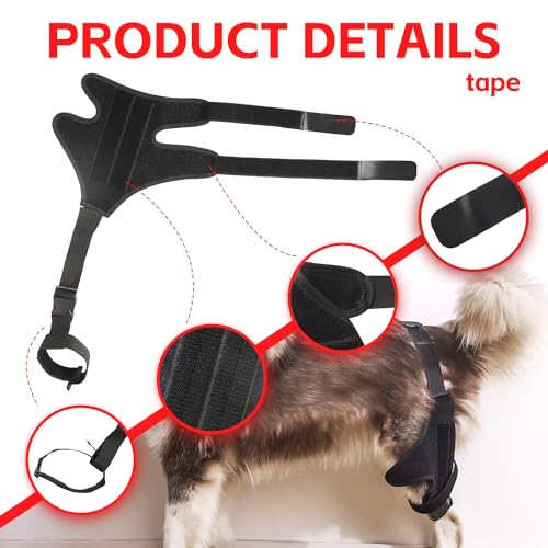 Image of Dog ACL Knee Brace, Dog Knee Brace for Torn ACL Hind Leg, Dog ACL Brace hind Leg, Dog Leg Braces for Back Leg, Dog Hip Brace, Cruciate Care Knee Brace for Dogs (Small)