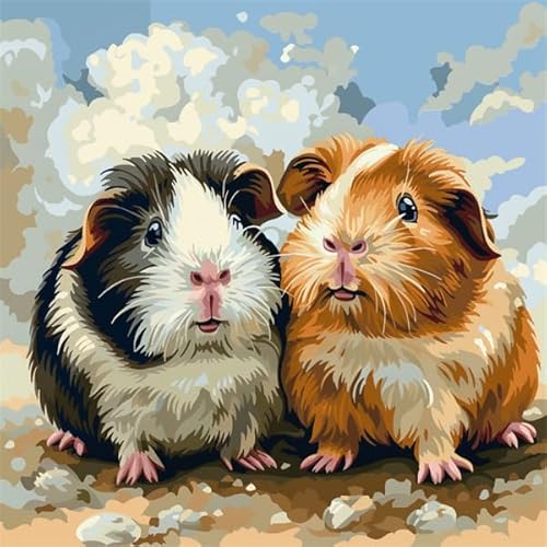 Kitphoenix Latch Hook Cushion Kits Animal Guinea Pig Beginner Latch Hook Kit Diy Pillow Materials Package 43Cmx43cm Diy Hooks Knitted Embroidered Carpet Pillow Embroidery Latch Hook Carpet Kit