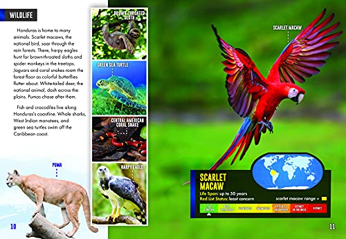 Honduras (Country Profiles) #TOP1