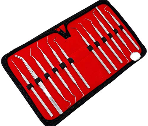 Set of 12 Stainless Steel Single and Double Ended High Precision Micro Dental Oral Hygiene Picks Set Combo, 5.5 inch to 6 inch Overall Length