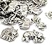Produktbild Tibetanische Elefant Charme/Anhänger Antik Silber 5-40mm Paket Von 30g