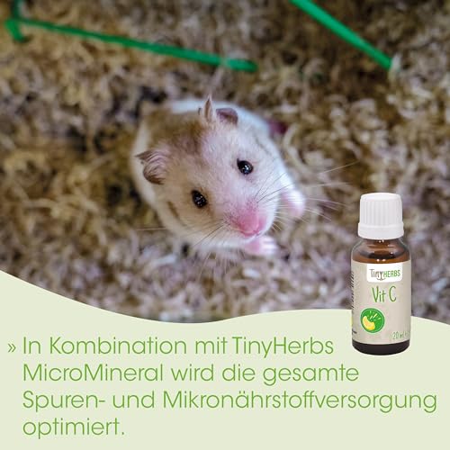 cdVet Naturprodukte Nager Vit C 20 ml - Kaninchen - Meerschweinchen - Versorgung mit Vitamin C - Nahrungsergänzung - auch für atemwegsempfindliche Tiere geeignet - natürliche Zutaten -
