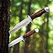 Swiss+Tech Fixed Blade Knife, 2-piece Bowie Knife with Sheath, Great for Outdoors, Tactical, Hunting and Survival Applications