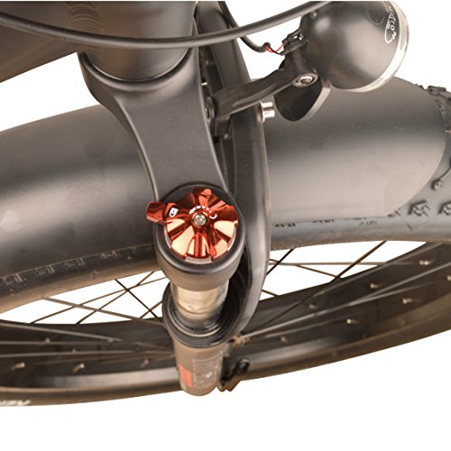 DJ Fat Bike 500W 48V 13Ah Power Electric Bicycle, Matte Black, LED Bike Light, Suspension Fork and Shimano Gear