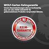 WOLF-Garten Turbo-Nachsaat zur Rasensanierung LR120 (für 120 m2, hohe Dichte mit ca. 70.000 Trieben/m2, für alle Rasentypen geeignet, mit WOLF-Garten Keimgarantie, im 2,4kg Karton) 3826042