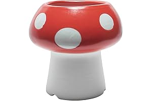Mushroom Pencil Holder: The Cutest and Funkiest Desk Accessory