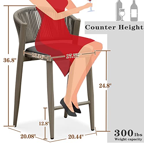Purple Leaf Counter Height Bar Stool Set Of 2 Modern Aluminum Rattan Wicker Outdoor Barstools With Backrest And Cushion For Kitchen Lawn Pool Bar Chairs Grey #TOP5